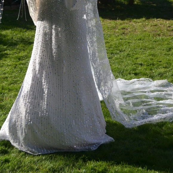 Veil - Picture 4 of 4
